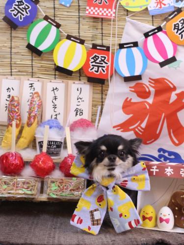 20240727プリンちゃん